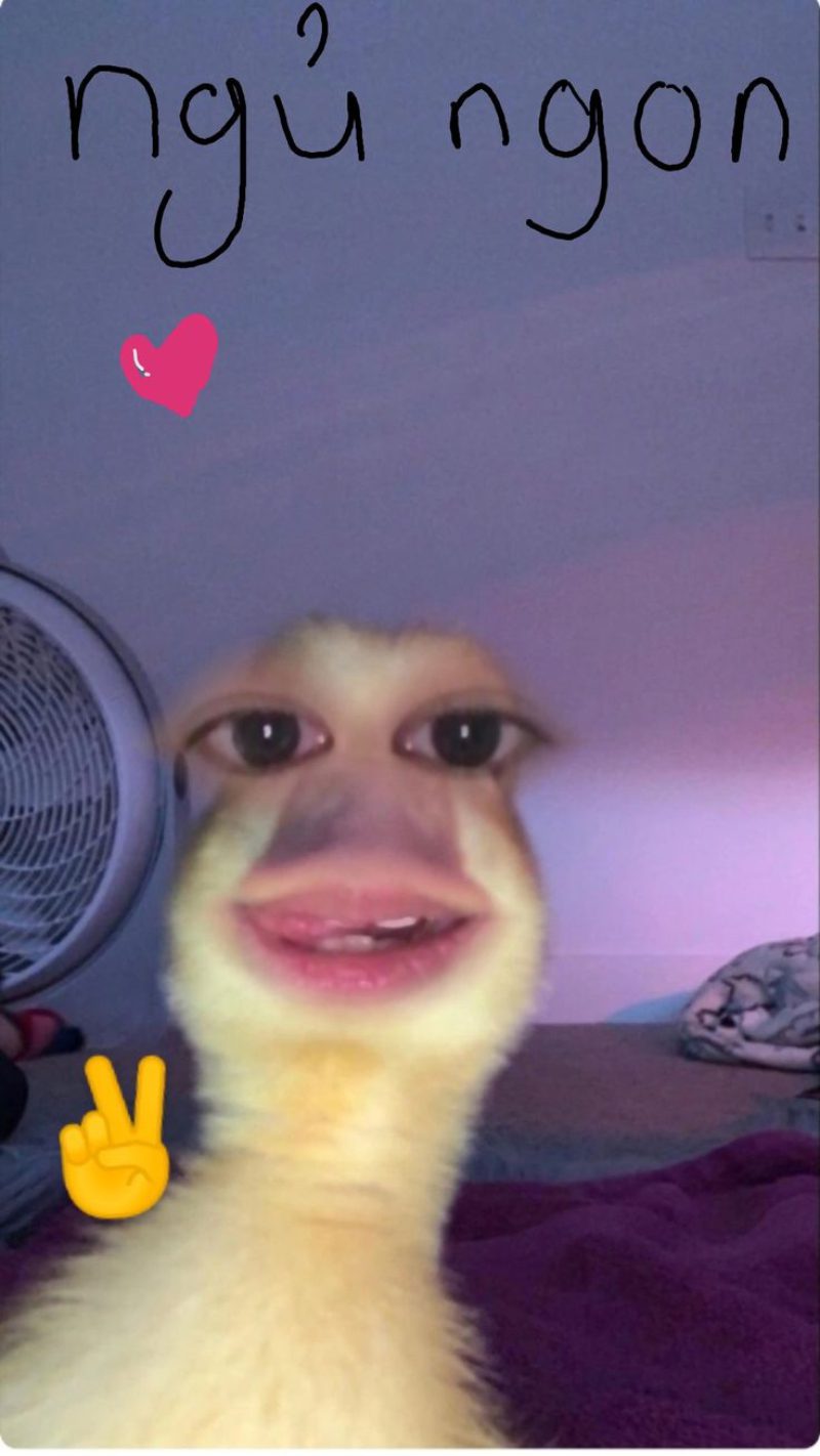 hình ảnh chúc ngủ ngon 20