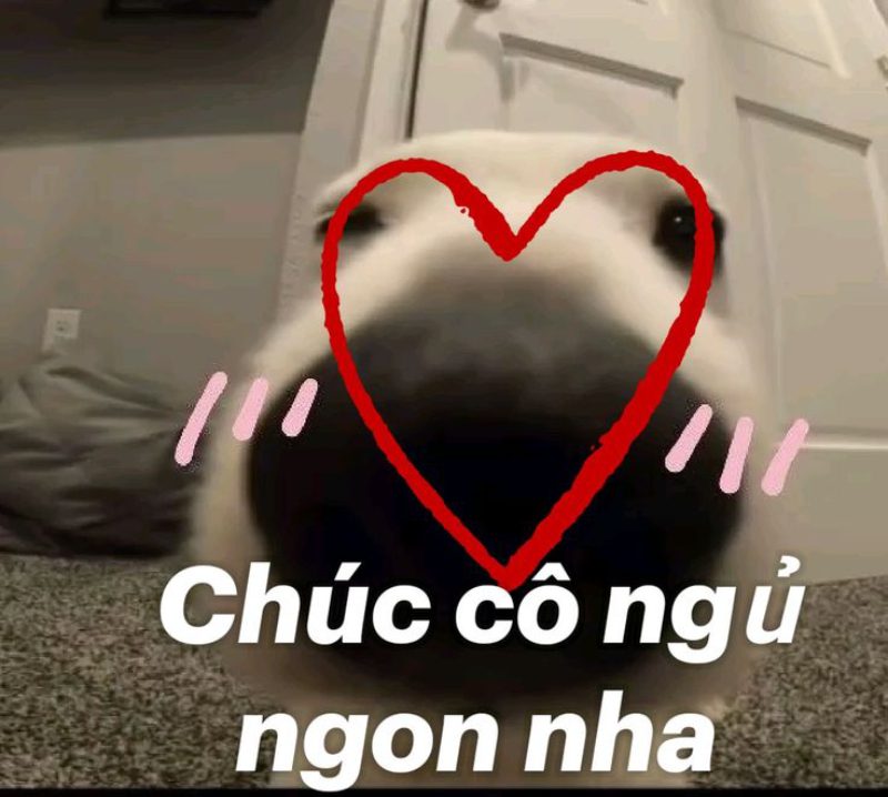 hình ảnh chúc ngủ ngon 22