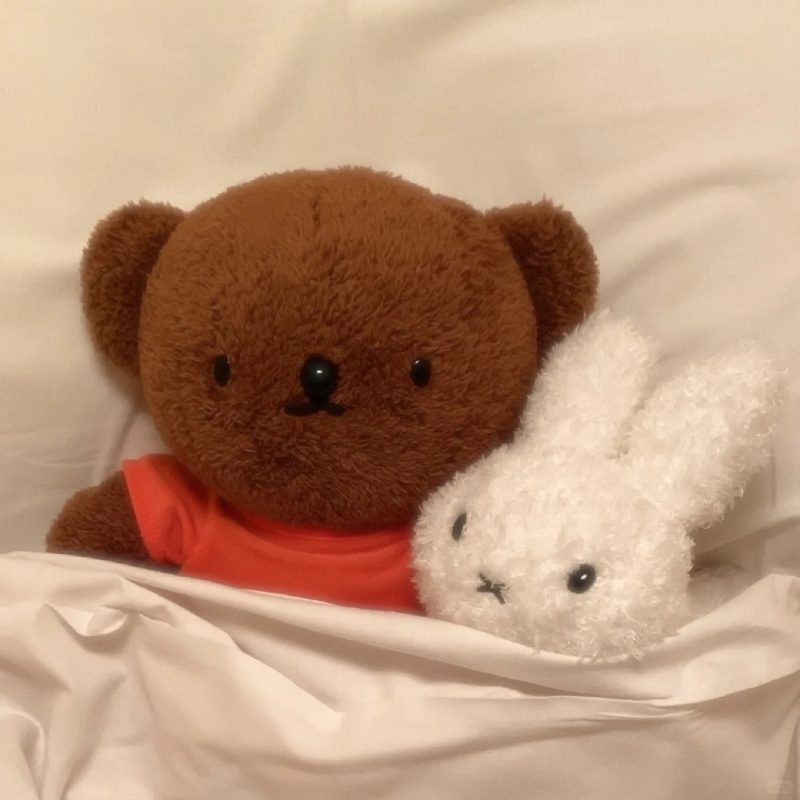 hình ảnh chúc ngủ ngon 29