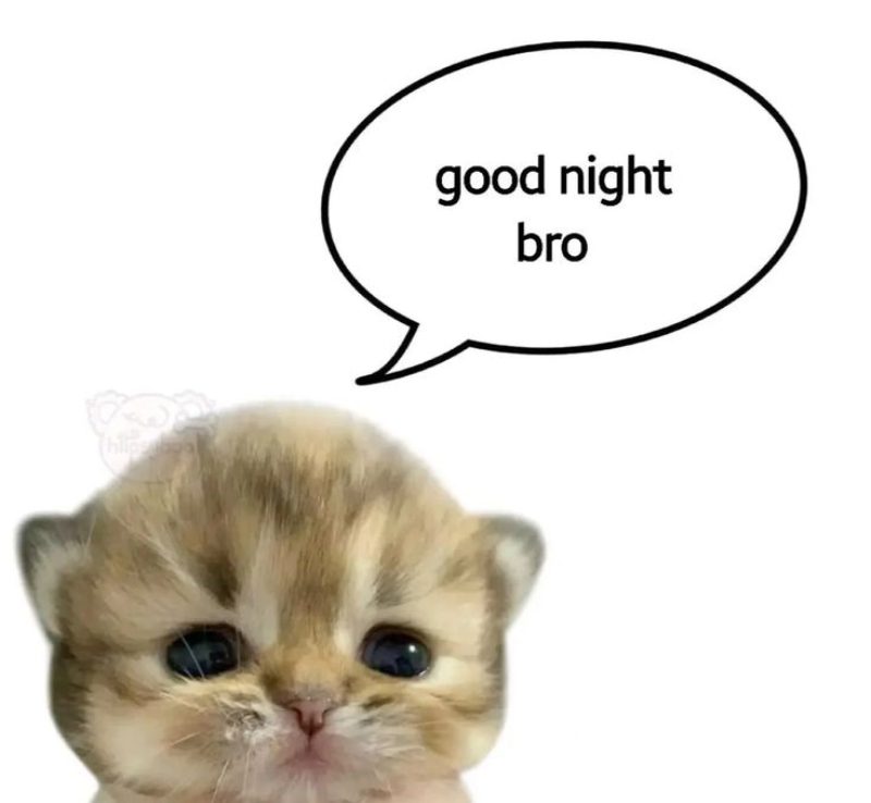 hình ảnh chúc ngủ ngon 3