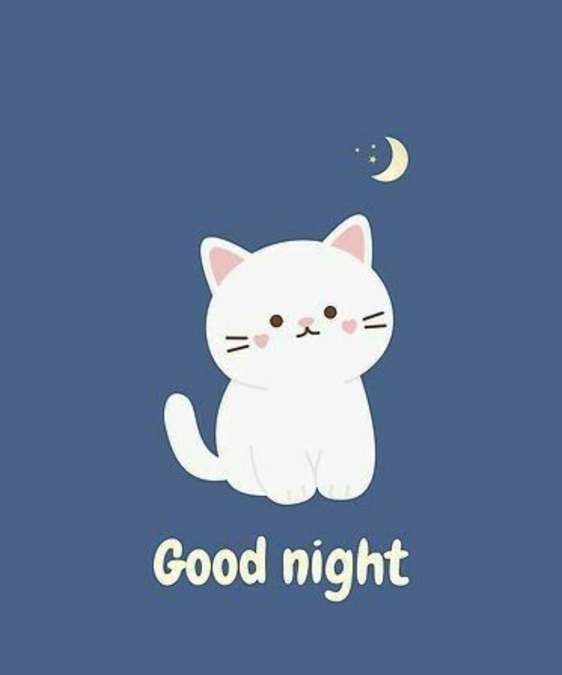 hình ảnh chúc ngủ ngon 6