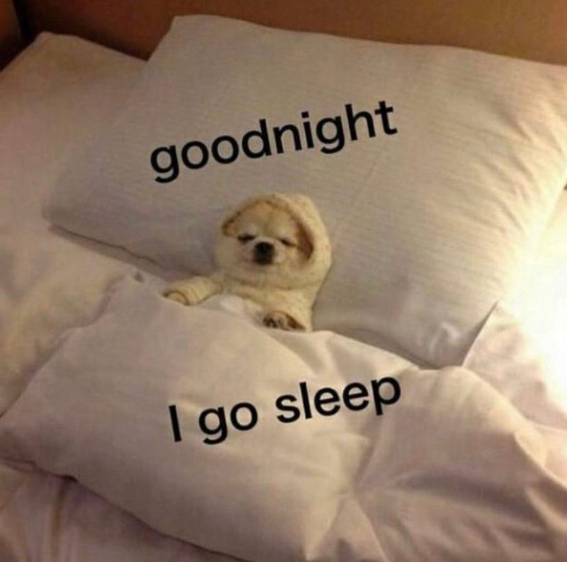 hình ảnh chúc ngủ ngon 9